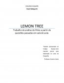 Análise sobre o filme Lemon Tree
