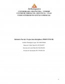 Relatório Parcial- Projeto Interdisciplinar (PROINTER III)