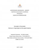 A Estrutura e Organização da Educação Brasileira