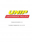Trabalho em grupo (TG), de elaboração do Relatório Informativo apresentado à Universidade Paulista (UNIP).