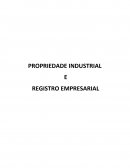 Trabalho - Propriedade Industrial e Registro Empresarial