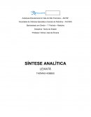 Síntese Ana litica - Livro: O Leviatã