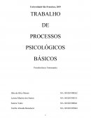 TRABALHO DE PROCESSOS PSICOLÓGICOS BÁSICOS