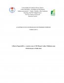 O Relatório de Paqueta Saúde, Trabalho e Meio ambiente