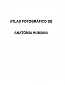 O ATLAS FOTOGRÁFICO PARA PREENCHER