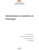 Sistematização da assistência de enfermagem