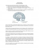 Quimica de farmacos antipossicoticos