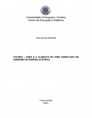 PARÁ E A ALÍQUOTA DO ICMS CAMUFLADA NO CONSUMO DE ENERGIA ELÉTRICA