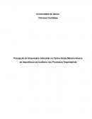 Percepção do Empresário Industrial no Centro-Oeste Mineiro Acerca da Importância da Auditoria nos Processos Empresariais