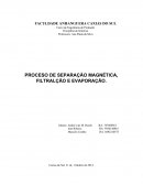 PROCESO DE SEPARAÇÃO MAGNÉTICA, FILTRALÇÃO E EVAPORAÇÃO.
