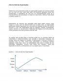 Ciclo de vida das organizações