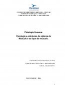   Fisiologia Humana: Fisiologia e estruturas do sistema do Musculo e os tipos de músculo.