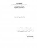 Relatório apresentado para avaliação na disciplina de Laboratório I do curso de Engenharia Química do Centro de Ciências Tecnológicas da Universidade Regional de Blumenau – FURB.