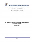 RELATÓRIO DO ESTÁGIO CURRICULAR OBRIGATÓRIO II – EDUCAÇÃO INFANTIL RELATÓRIO FINAL