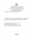 A CRIAÇÃO E FUNCIONAMENTO DOS CONSELHOS DE FISCALIZAÇÃO E AS CONTRIBUIÇÕES CONTIDAS NA LEI Nº 8.662/93
