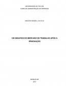 OS DESAFIOS DO MERCADO DE TRABALHO APÓS A GRADUAÇÃO