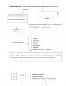 Sistema Endocrino Enfermagem