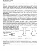 Exercício de eletro estática