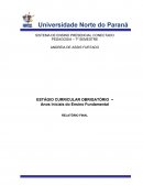 ESTÁGIO CURRICULAR OBRIGATÓRIO  – Anos Iniciais do Ensino Fundamental RELATÓRIO FINAL