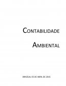 CONTABILIDADE AMBIENTAL “BENEFÍCIOS DA CONTABILIDADE AMBIENTAL’’