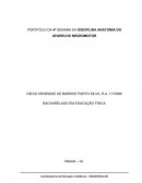 A Importância para a disciplina de Anatomia do Aparelho Neuromotor