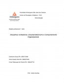 Empreendedorismo e Comportamento Organizacional