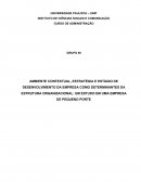 AMBIENTE CONTEXTUAL, ESTRATÉGIA E ESTÁGIO DE DESENVOLVIMENTO DA EMPRESA COMO DETERMINANTES DA ESTRUTURA ORGANIZACIONAL: UM ESTUDO EM UMA EMPRESA DE PEQUENO PORTE 