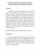 ESTUDO DO PROCESSO DE SECAGEM DE CELULOSE MICROCRISTALINA E DE CLORETO DE POTÁSSIO