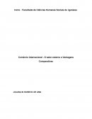 Comércio Internacional - O setor externo e Vantagens Comparativas