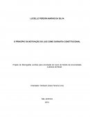 O PRINCÍPIO DA MOTIVAÇÃO DO JUIZ COMO GARANTIA CONSTITUCIONAL