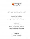 Atps Competências profissionais