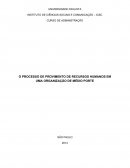 PROCESSO DE PROVIMENTO DE RECURSOS HUMANOS EM UMA ORGANIZAÇÃO DE MÉDIO PORTE