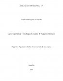 Recursos Humanos Diagnóstico Organizacional sobre o Funcionamento de uma Empresa