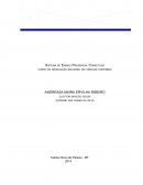 GESTÃO FINANCEIRA E ORÇAMENTO EMPRESARIAL NOCÕES DE ATUARIA E DIREITO EMPRESARIAL