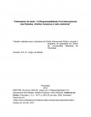 Fichamento: A Responsabilidade Civil Internacional dos Estados - Direitos humanos e meio ambiente