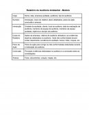 Modelo Relatório de Auditoria Ambiental