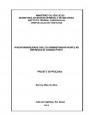 A RESPONSABILIDADE CIVIL DO ADMINISTRADOR FRENTE ÀS EMPRESAS DE GRANDE PORTE