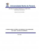 O Desenvolvimento sistêmico das empresas,e suas abordagens que fazem o sucesso das empresas