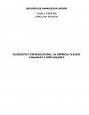 DIAGNÓSTICO ORGANIZACIONAL DA EMPRESA CLÁUDIO COMANDOS E PREPARAÇÕES