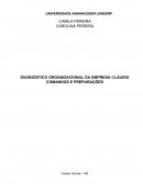 DIAGNÓSTICO ORGANIZACIONAL DA EMPRESA CLÁUDIO COMANDOS E PREPARAÇÕES