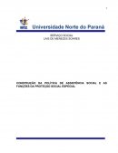 CONSTRUÇÃO DA POLÍTICA DE ASSISTÊNCIA SOCIAL E AS FUNÇÕES DA PROTEÇÃO SOCIAL ESPECIAL
