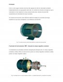 ATPS maquinas eletricas