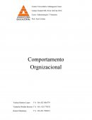 Comportamento organisacional