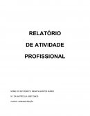 Relatorio de estagio