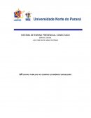 AS NOVAS FAMILIAS NO CENÁRIO ECONÔMICO BRASILEIRO