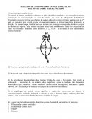 Anatomia dos animais domesticos