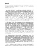 Na prática a teoria é outra? : mitos e dilemas na relação entre teoria, prática, instrumentos e técnicas no Serviço Social