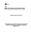 TRATAMENTO DE EFLUENTES LÍQUIDOS INDUSTRIAIS E ESGOTOS SANITÁRIOS