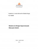 Esducaçaõ infantil