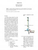 Relatorio de fisica sobre queda livre